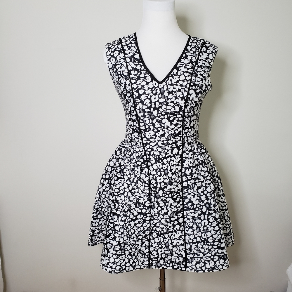 Fit flare Dress